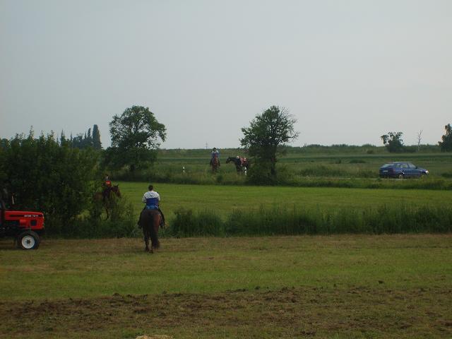 27.JPG